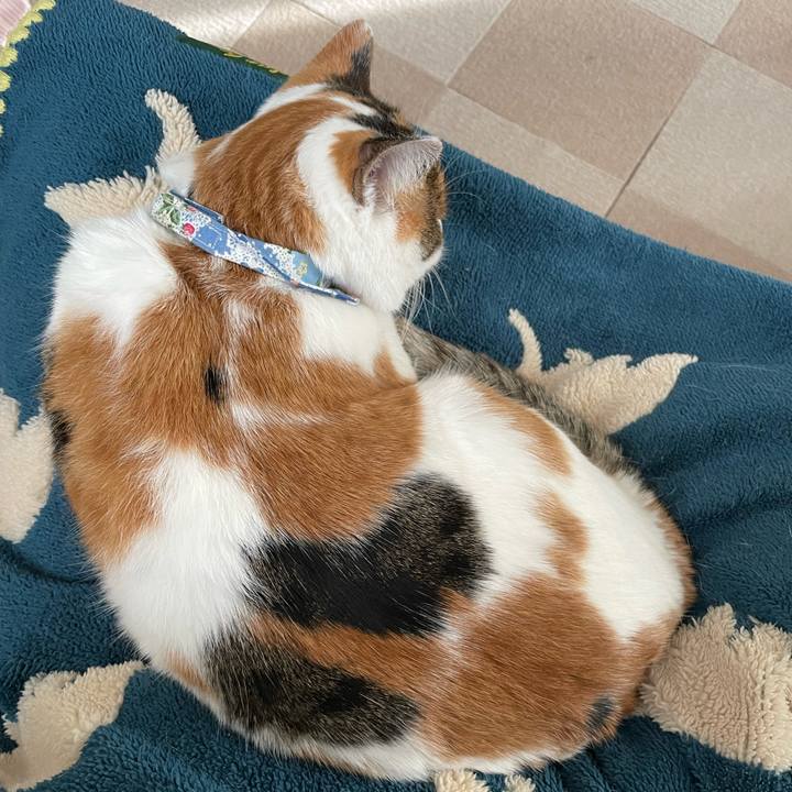 235e93a0 6bac 4c3d 812e 791ab9ddd66e 1704257368893