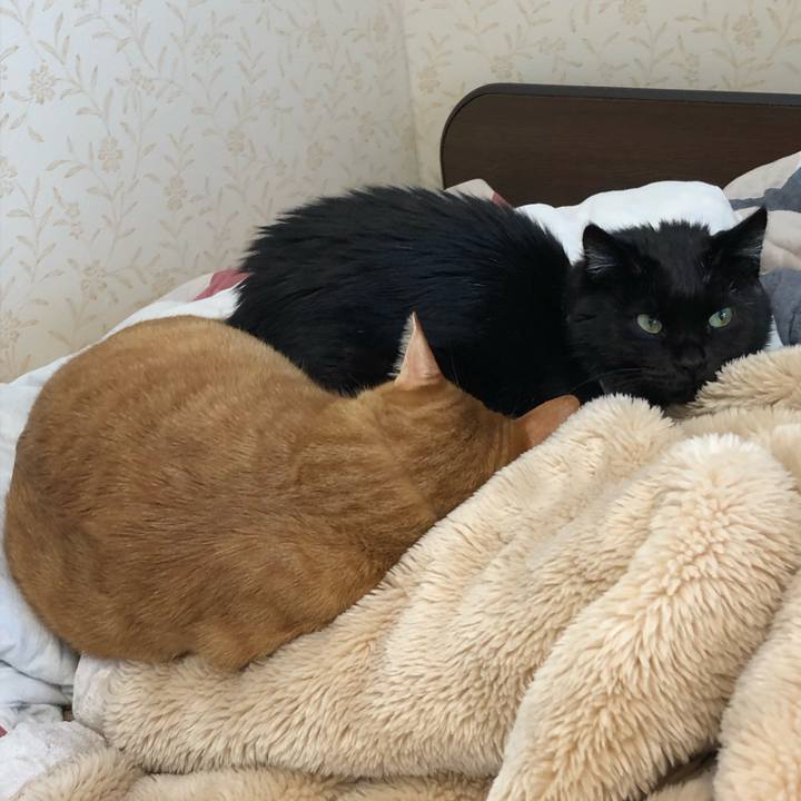 235ea30c 9c4c 46d5 b45d fb5574aa0397 1573953307209