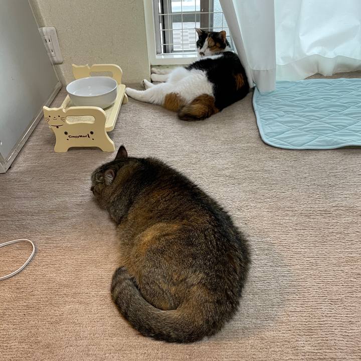 235eba20 3c74 4d1c 90f9 829553b0ebe0 1719525304288