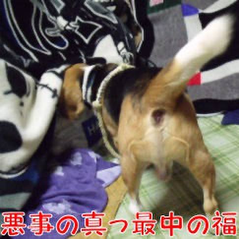 235ed029 2cf0 4529 9373 027f70b38dee 1723417475601