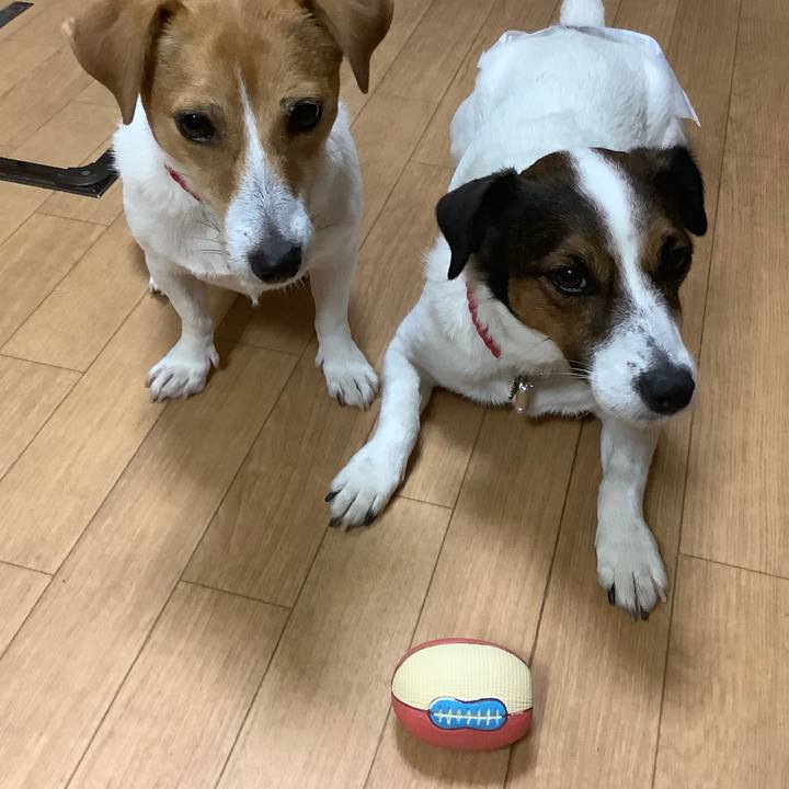 235eec38 b5b0 4dd4 9443 d33d8e9034ab 1569662812613