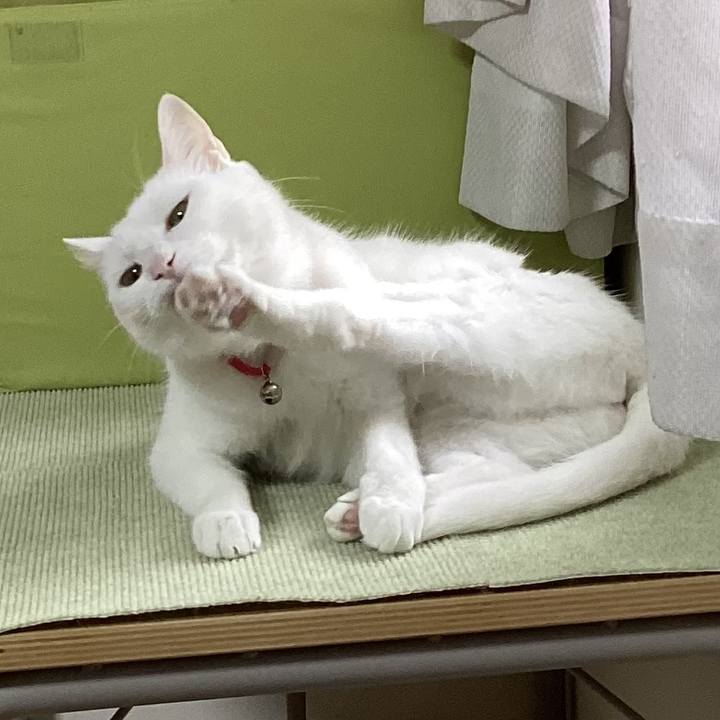 235fad66 b59e 45a3 9b7a 0d1875b3e4c0 1716850211070