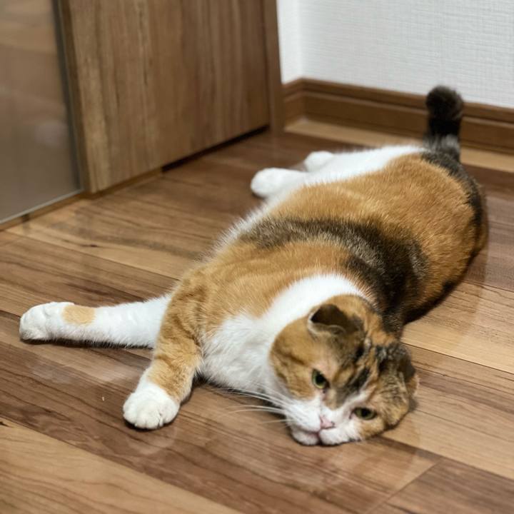 235fb138 93a6 4e46 9049 3a7dcd8073c2 1687007032851