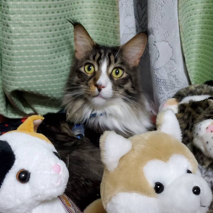 235fbae4 3310 44a1 b98c 3033cdaa9b45 1713008638571