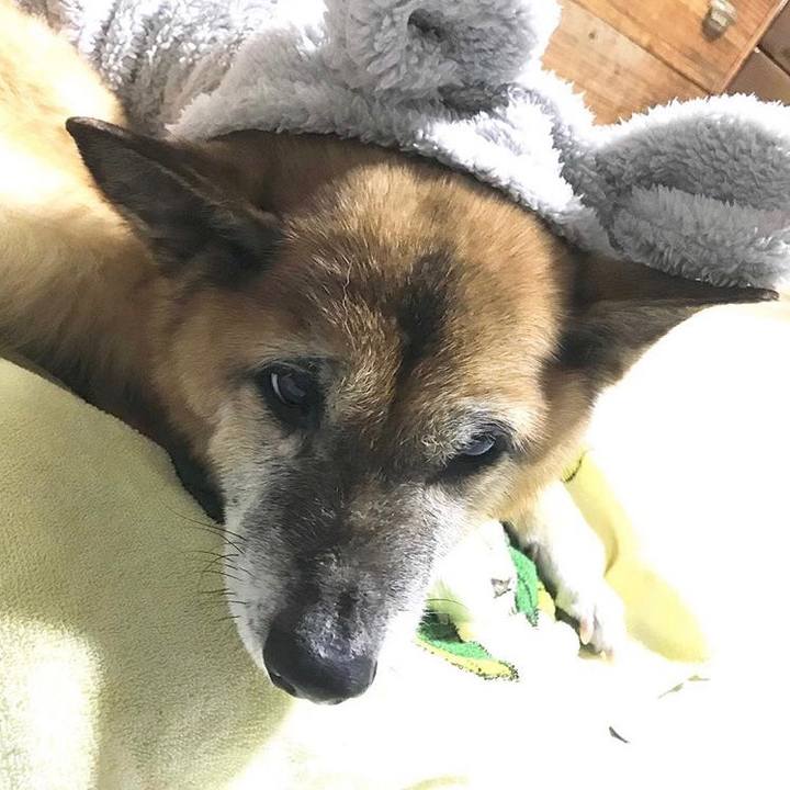 235fe754 5f1c 4195 8964 1a59d8e6773c 1570881443906