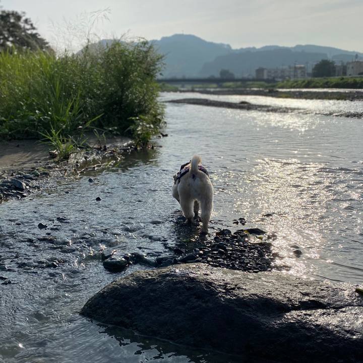 2360155a 6a10 4ce2 8ce7 c07adc80af8a 1595216066415