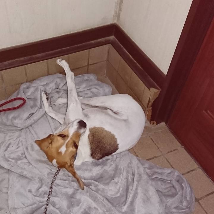 23601ce5 6d11 4f5a 8add 8c45a0c943f2 1569506413311