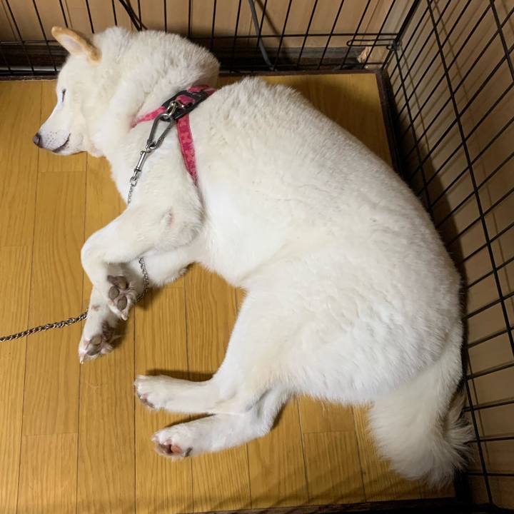 23602624 d6aa 4e76 bcfb d646c7a7937f 1578043603622