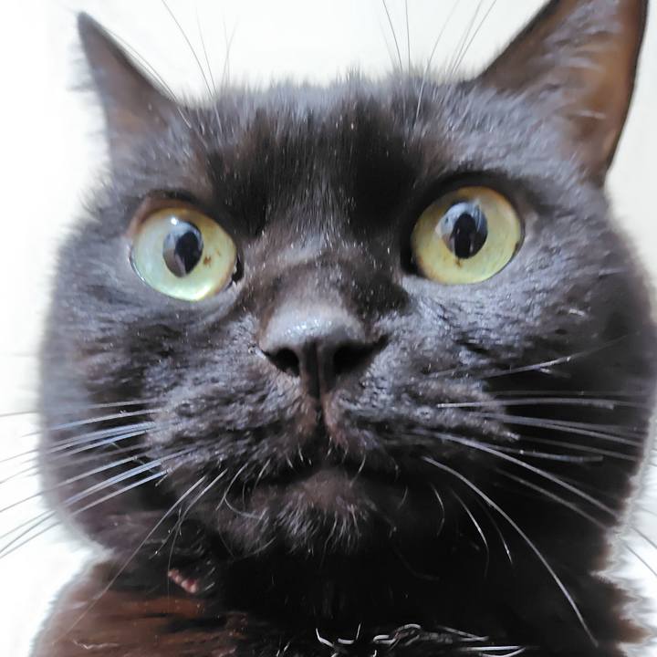 236048a8 b750 400b 875f 93c6369777b2 1762250958864