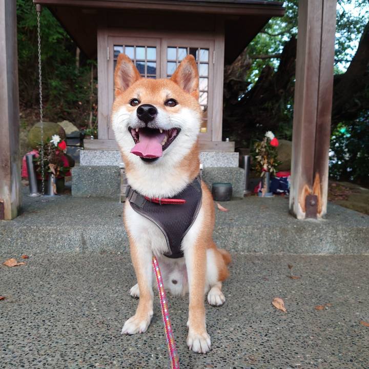 23608e05 481d 47c2 a9d1 7122bc154653 1756335393219