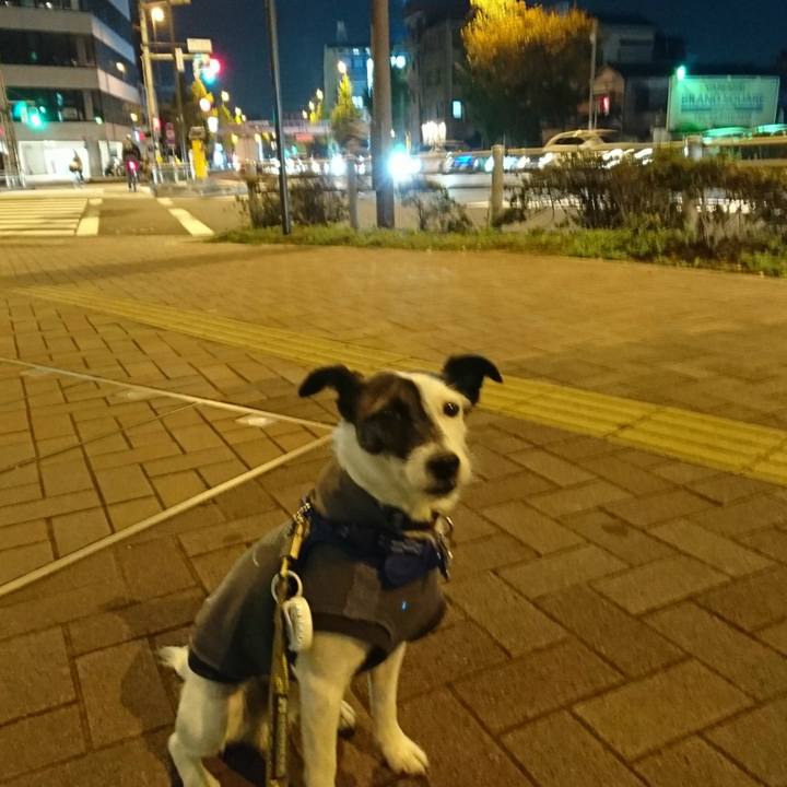 23609646 11a0 476c 8adb 1d3e0214d563 1509962941390