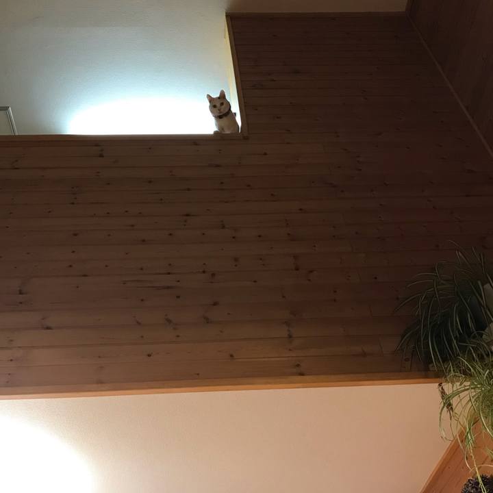 2360b4f2 10bb 4e04 b75e faf6e34bbfbf 1567111079353