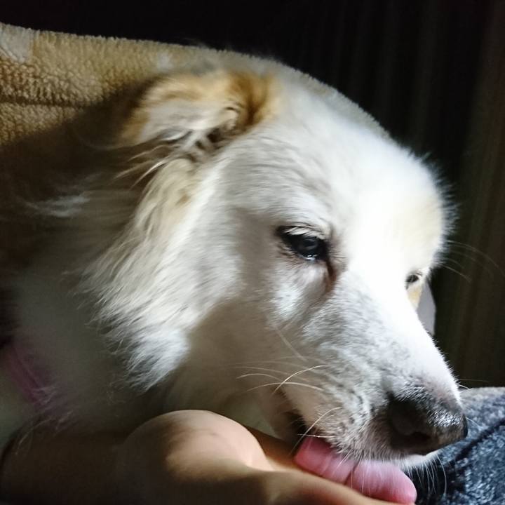 236103c0 2fe7 4b71 b4f0 1fd820e58d7c 1637872187107