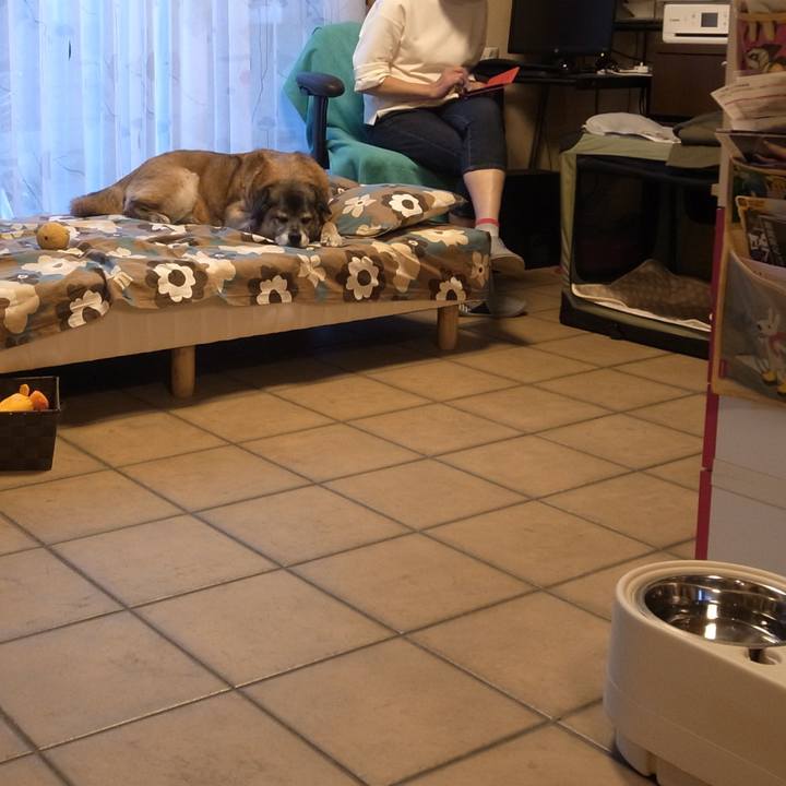 23614b93 0654 40f0 8ab4 54f7ac0393b4 1606178559419