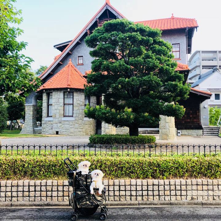 23616352 84c1 46d3 a035 0faffc14e8de 1598657065808