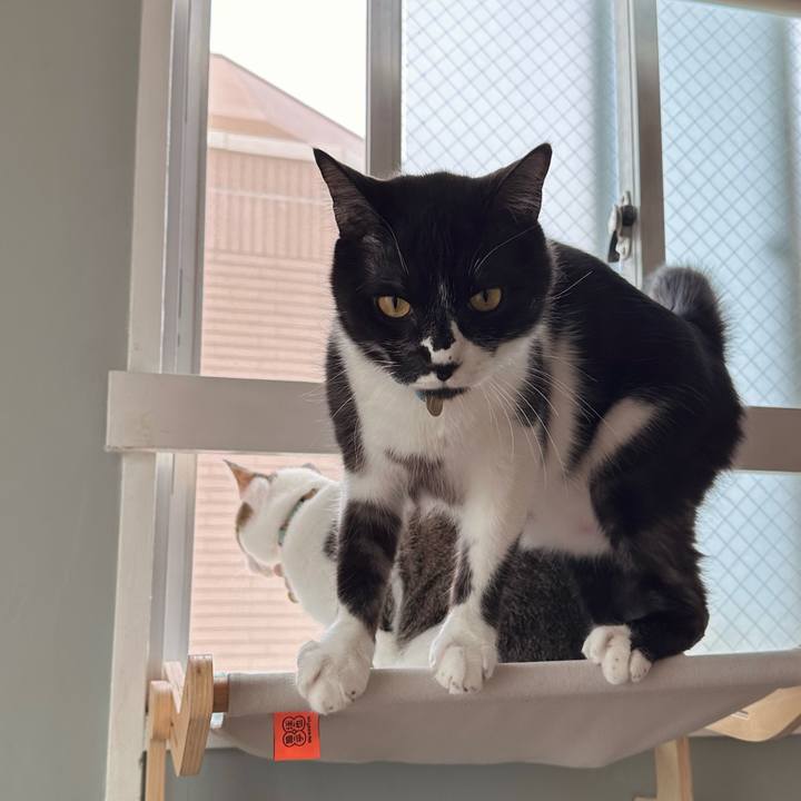 236164c4 3bee 4933 8daa 71f49d13ba93 1774324211938