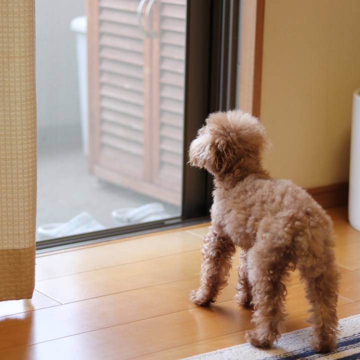 23619d19 3fc3 4c9f 8d39 24ac09146f78 1556145012645