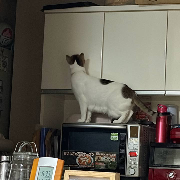 2361adcb f20e 49fc ad34 18993a9ac6a5 1764495318829