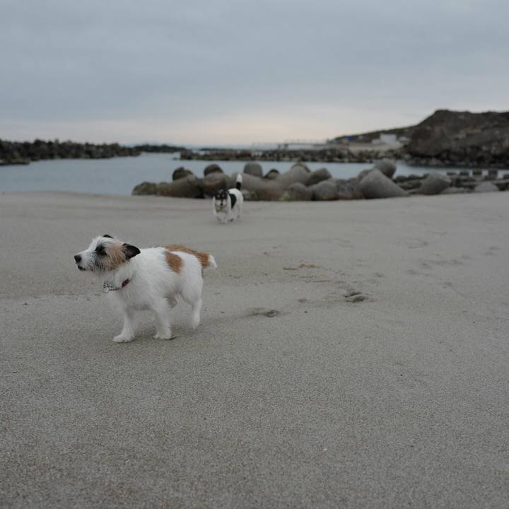 2361d9b7 dc57 46b1 be1b 5823cb57455c 1520489906723