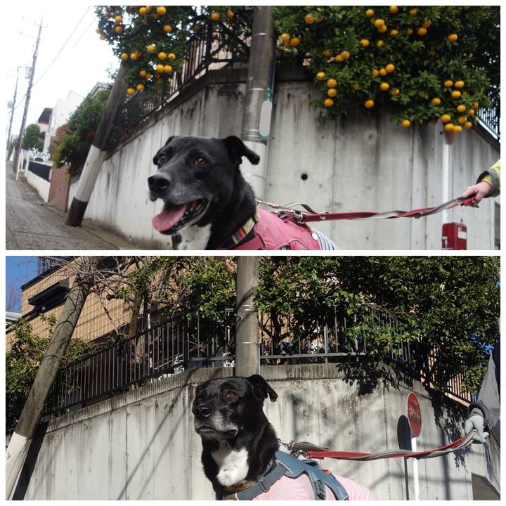 236239d1 9395 43fd a761 fea59b20b5ee 1710033838500