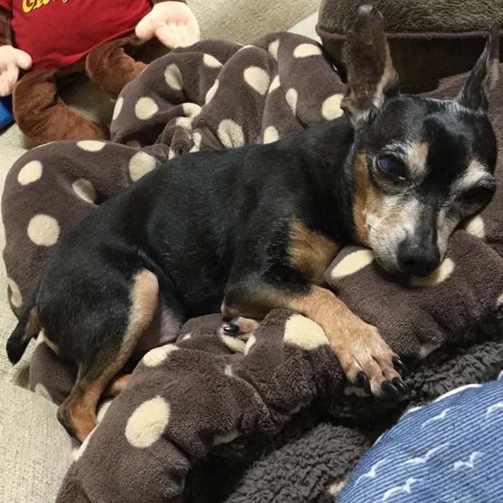 23623b44 3fa9 4be3 8b19 a4ed74f33b37 1536844305462