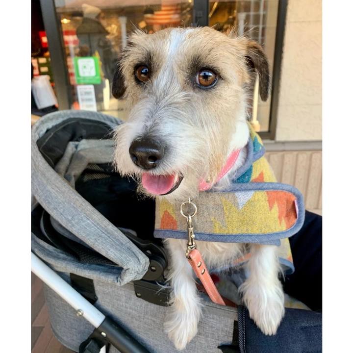 23623ec8 0e17 4b09 b76b f60b83fd012e 1673525119237