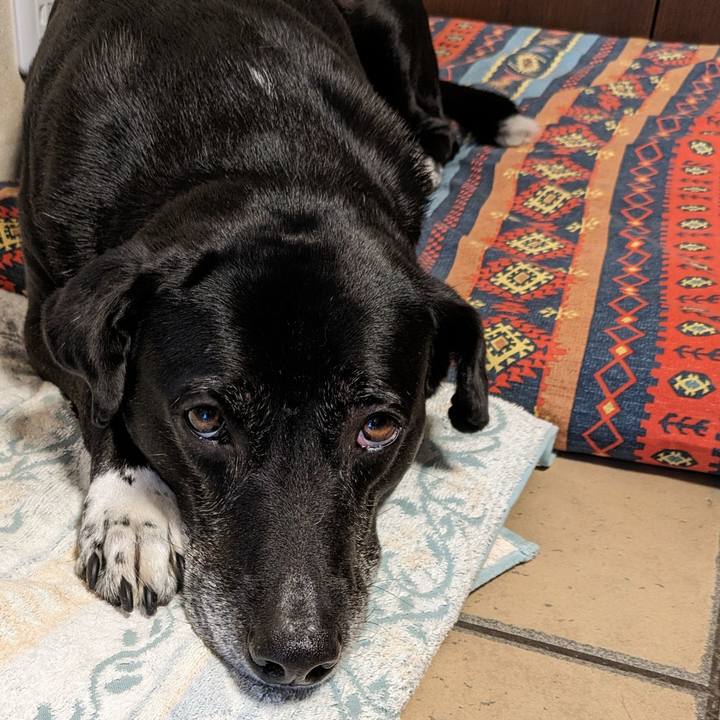 236243b0 a6b5 4634 b61b fc5a9a9c5c5f 1716855523568