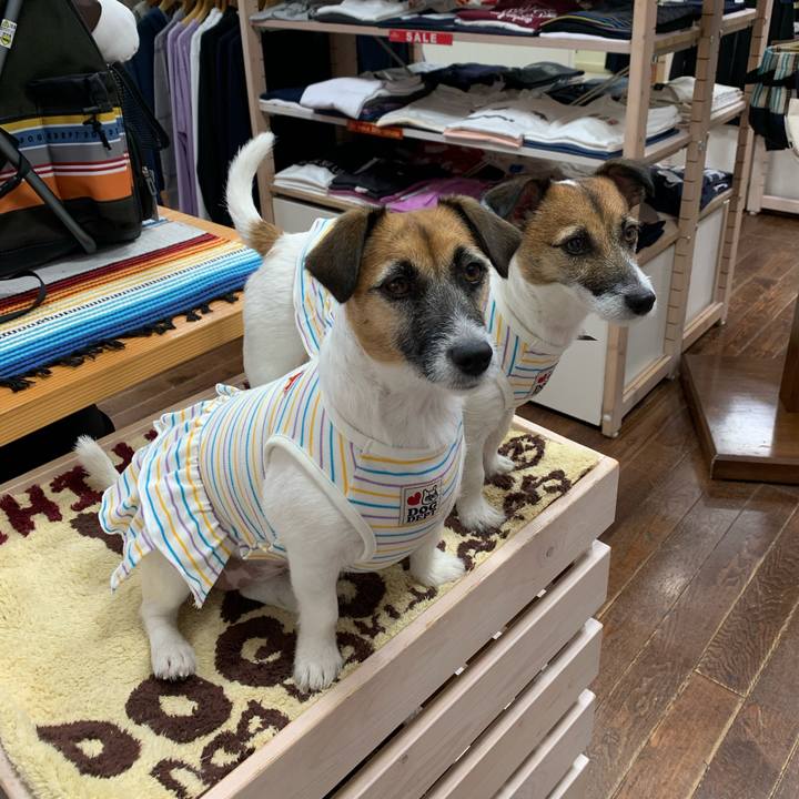 23626ead 8872 42e3 8aef adb0a9f8a7cc 1597894658270