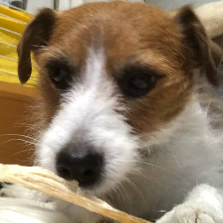 23627f13 4d9d 476d adf3 f2ac8bc2372a 1550385848137