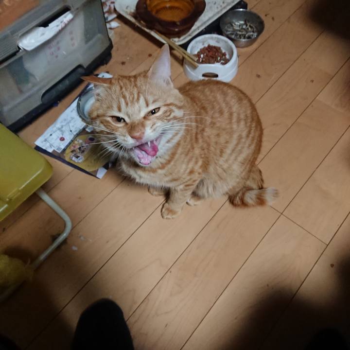 2362b979 2ee5 4350 a442 be526a51d52d 1646513739485