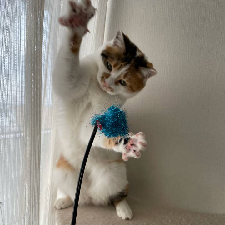 2362bd28 d944 4757 8386 a971aeca21d6 1610862735139