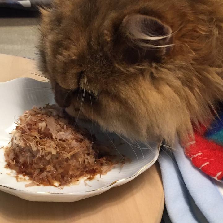 2362f2bf 7b34 4b36 b5d2 8b6d8ae28c68 1509171081091