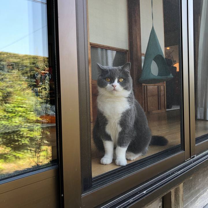 2363161e e225 4b57 a8ec 058fad332cff 1555809241360