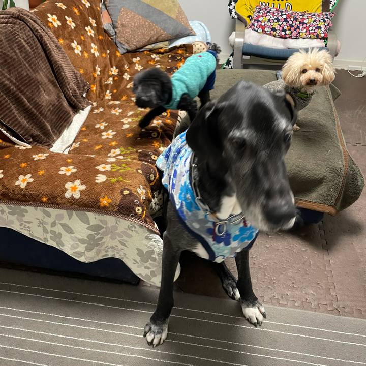 236330bc 9a01 468d 9ca1 d4823f2185c2 1611611974757