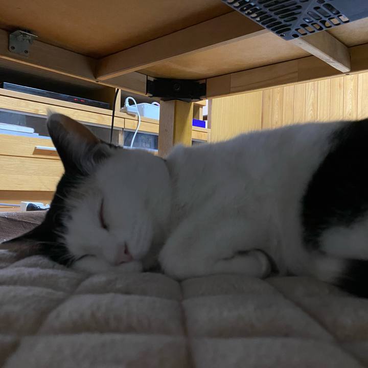 236334f5 5488 41ea 8f3a d31889ae85ee 1646142049920