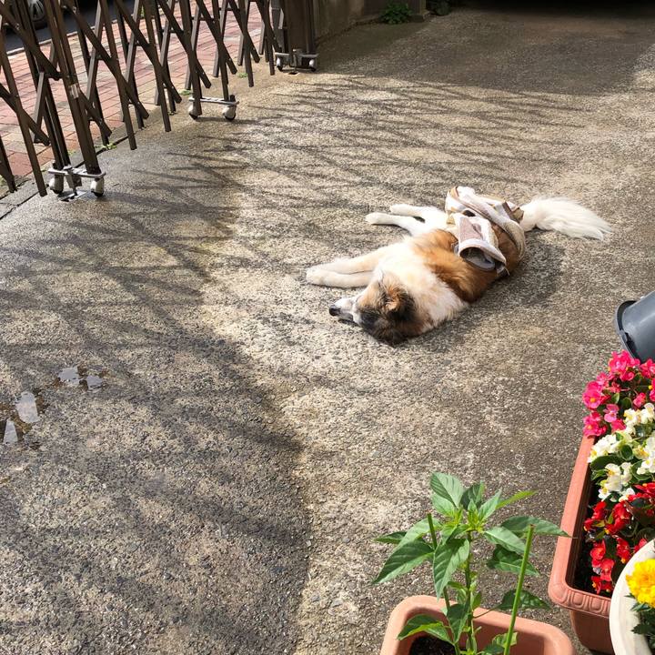 2363696a 06ab 4a52 b030 7acb5f14e185 1557365125431