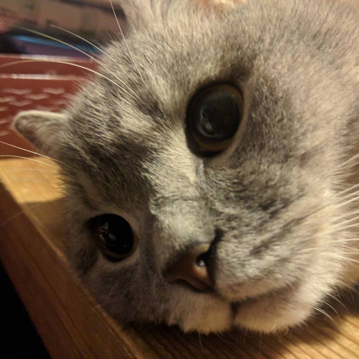 23637b98 46eb 467a 8d76 0332c0969746 1528556178021