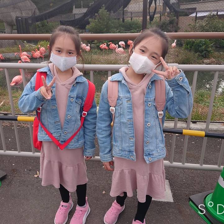 23638c14 f3fc 4be1 b97e d0c8e772b9f6 1606176502103