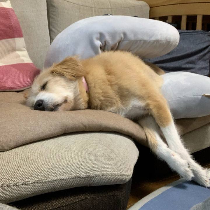 236390d7 568a 4640 ae5e d0d2cea55a05 1573652274944