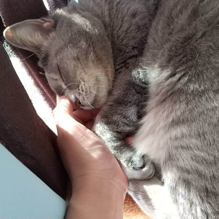 2363aef3 f67b 4666 9c73 4d6e58c0b874 1639368463944