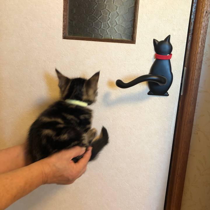 23641b68 4c28 4415 bc9a 7b686bc51130 1723967181980