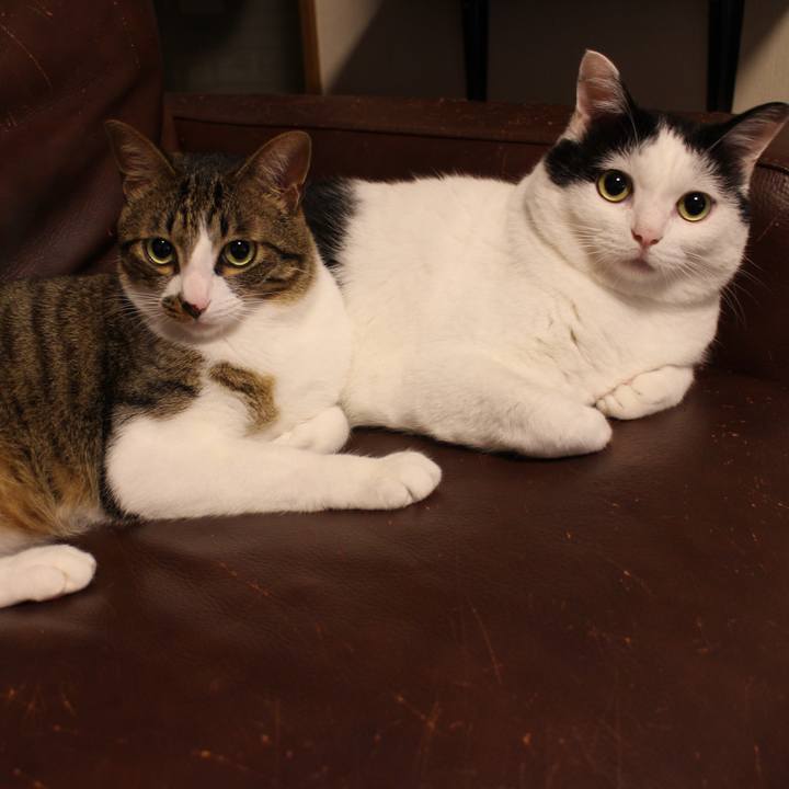 23641fc1 627a 4f0a aefe 228778b03b50 1561936387171