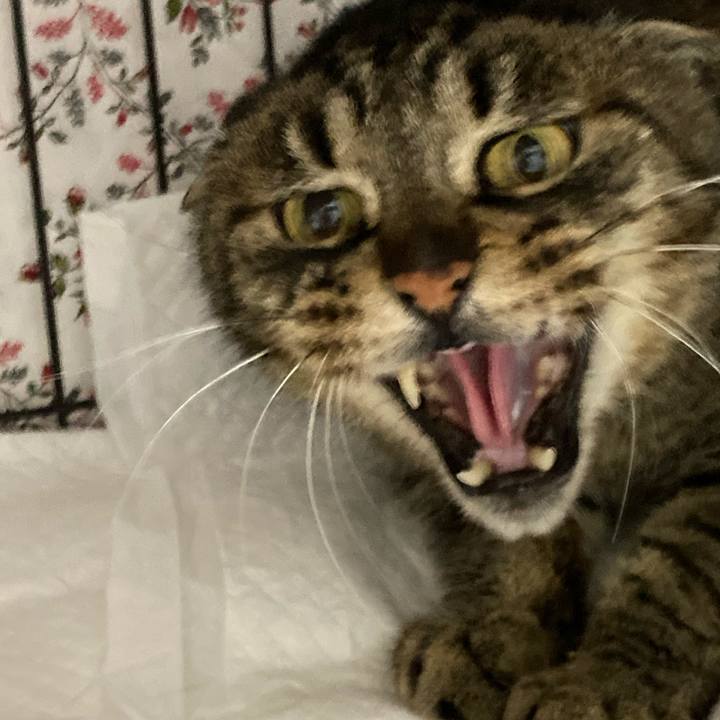 23643e35 21f7 4b06 9eb6 323f33a74a55 1627376340158