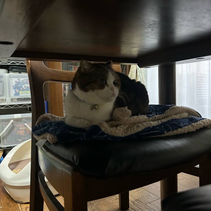 2364b66d eb77 41b4 838a 4b5730b9e36a 1770847847194