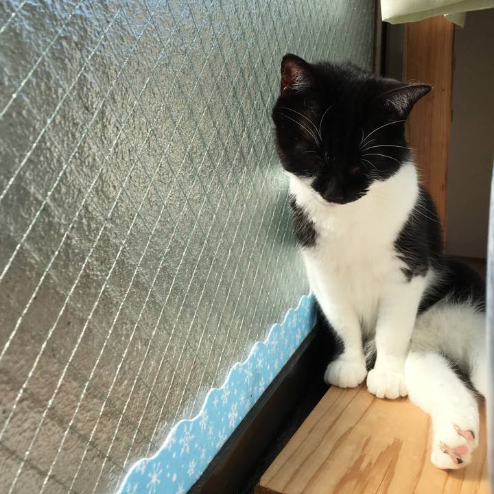 2364c0d0 1ebd 41b8 af08 088253abba27 1518580139345