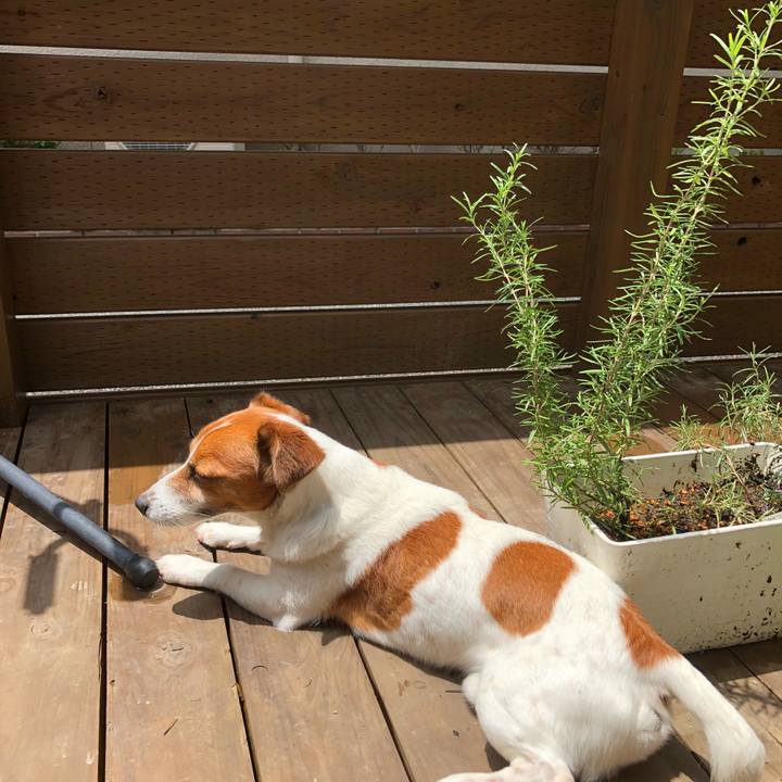 23650df3 2bef 4edd 89f9 42508a672ccb 1529810376541