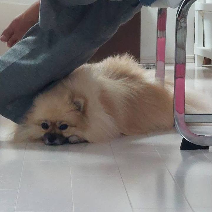 23651139 2150 46bd 9d1c e18245284fb2 1667971669166