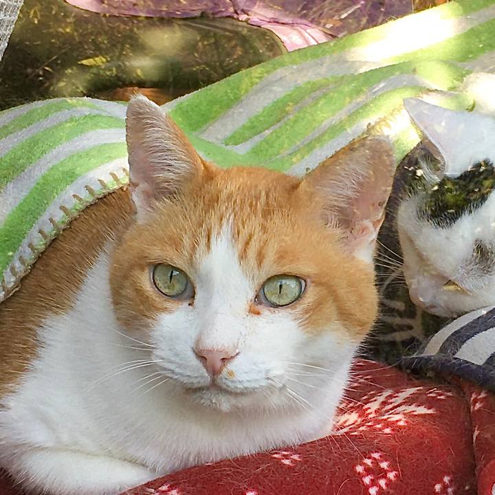 23654286 7f15 47d9 9f2c 2b0fb28b25e5 1604303309298