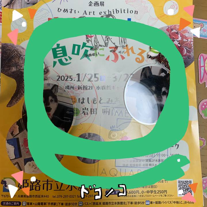 23657aae 15ed 4316 a98e 161afd4c9da7 1741649461207