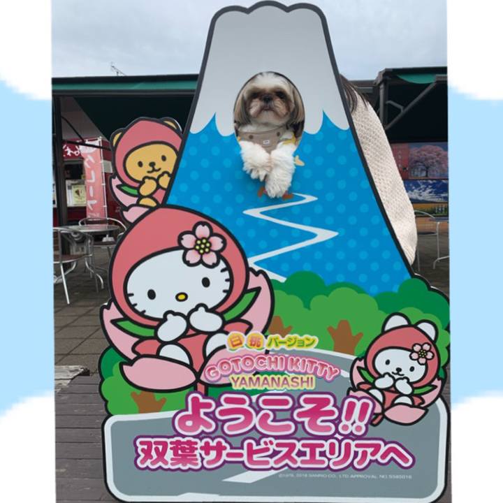 23657d23 bf34 40d8 b9cb e0672d602d9f 1603028904785